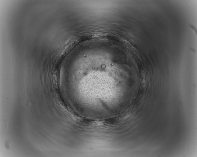 X0000101960523200808011110