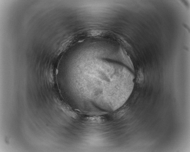 X0000101960524200808011110