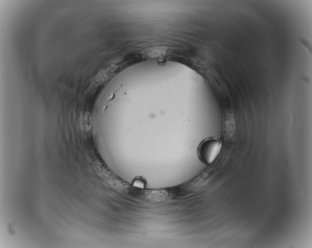 X0000101960525200808011110