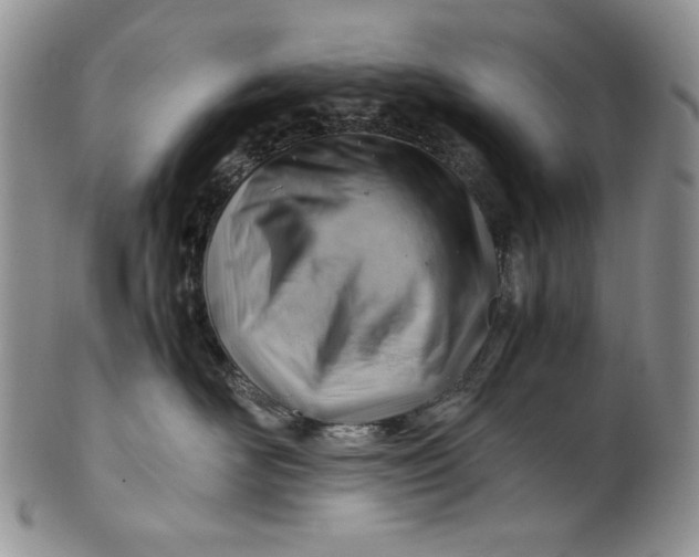 X0000101960526200808011110