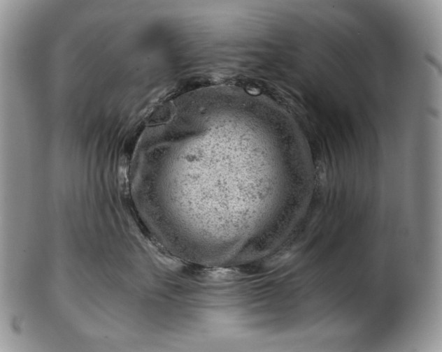 X0000101960527200808011110