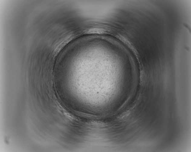 X0000101960529200808011110