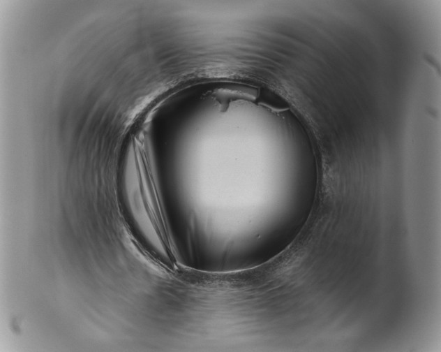 X0000101960530200808011110