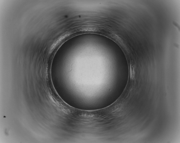 X0000101960531200808011110