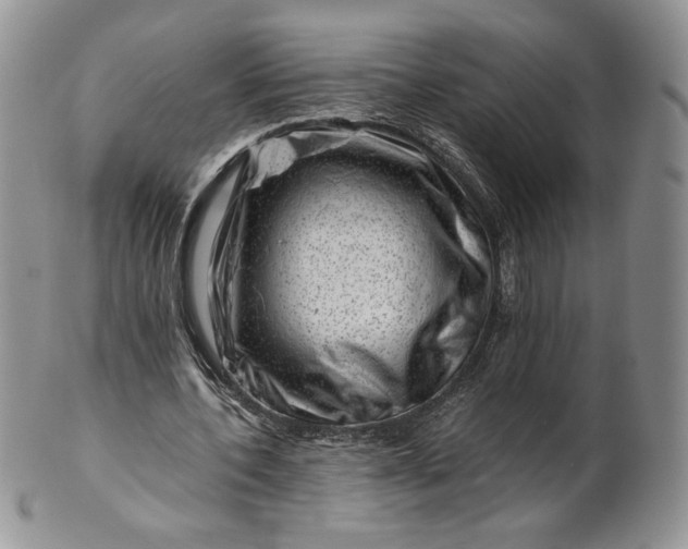 X0000101960532200808011110