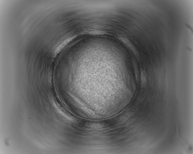 X0000101960533200808011110