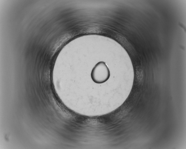 X0000101960534200808011110