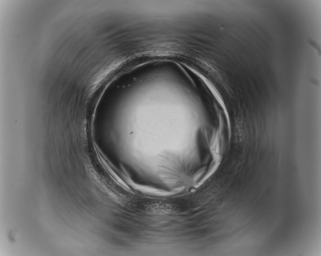 X0000101960535200808011110