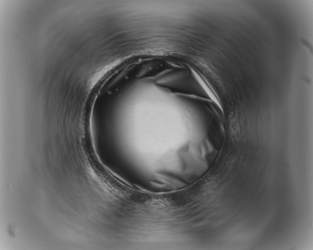 X0000101960536200808011110