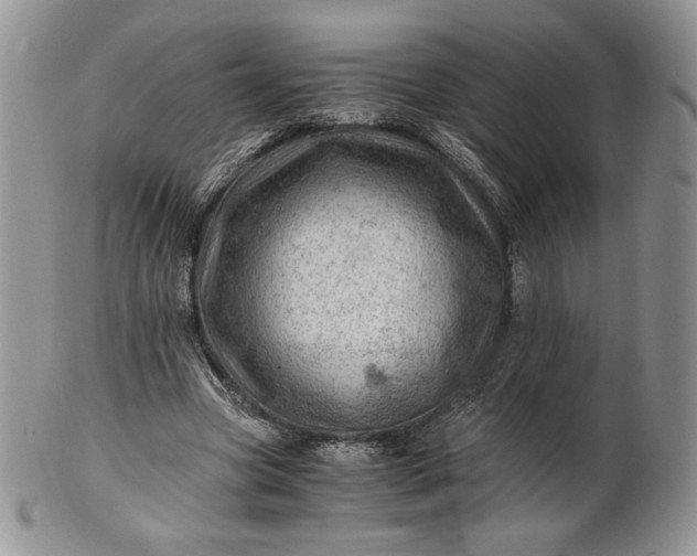 X0000101960537200808011110