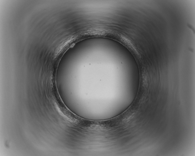 X0000101960538200808011110