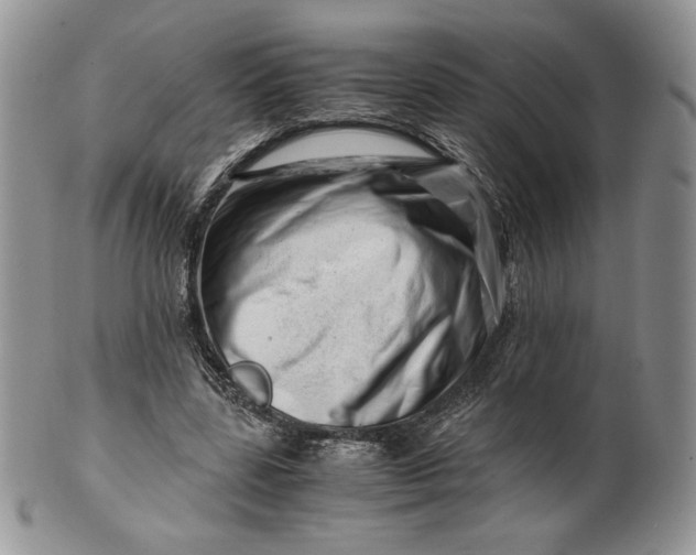 X0000101960539200808011110