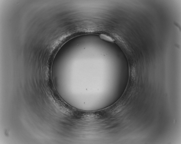 X0000101960540200808011110