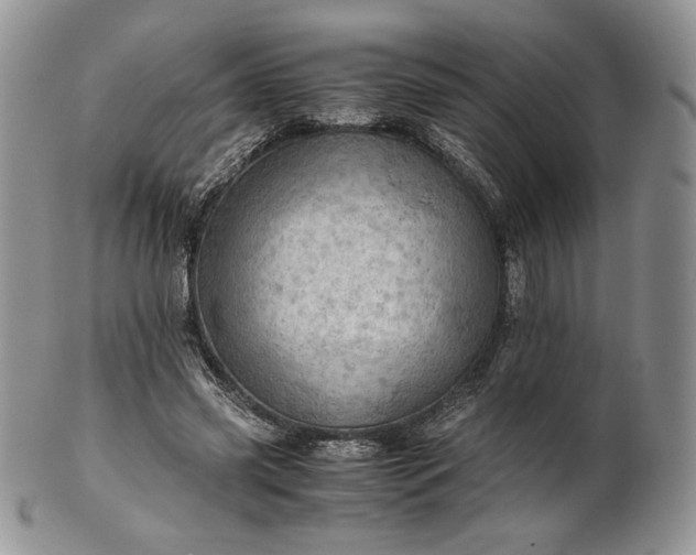 X0000101960541200808011110