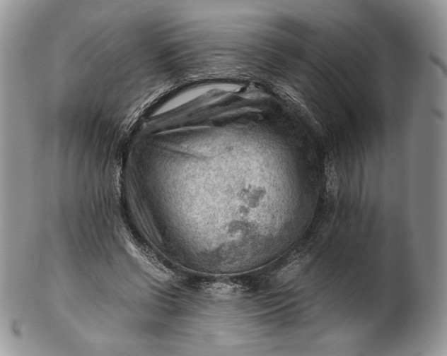 X0000101960542200808011110