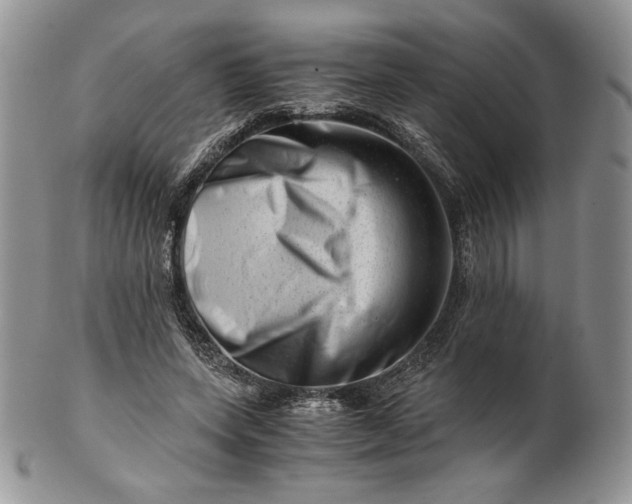 X0000101960543200808011110