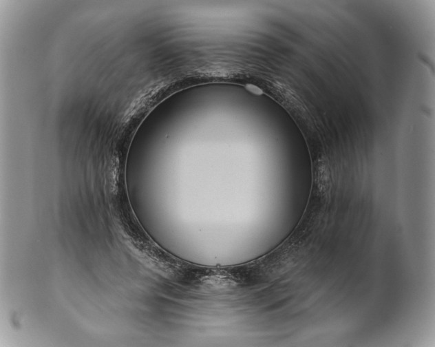 X0000101960544200808011110