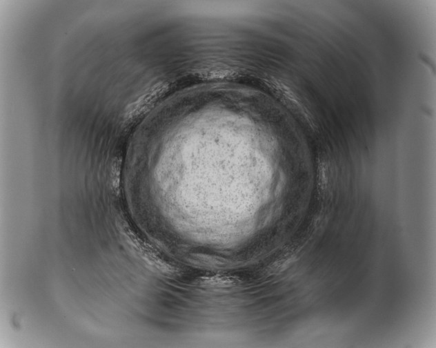 X0000101960545200808011110