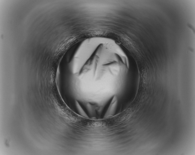 X0000101960546200808011110