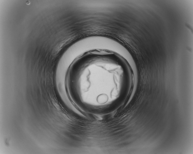 X0000101960547200808011110