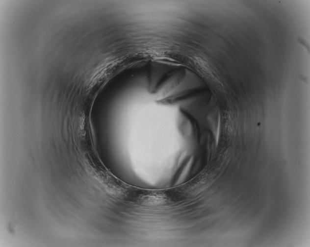 X0000101960548200808011110