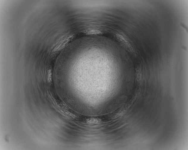 X0000101960549200808011110