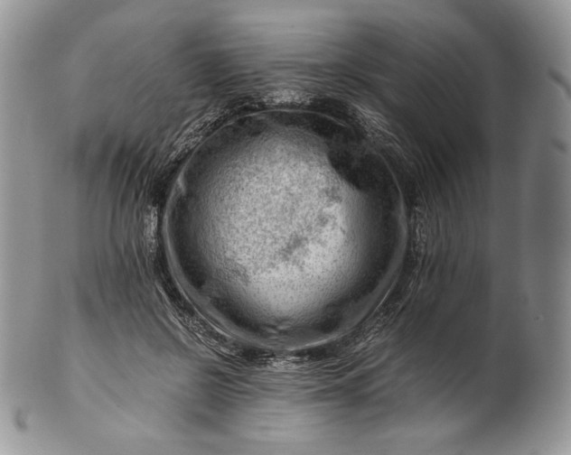 X0000101960550200808011110