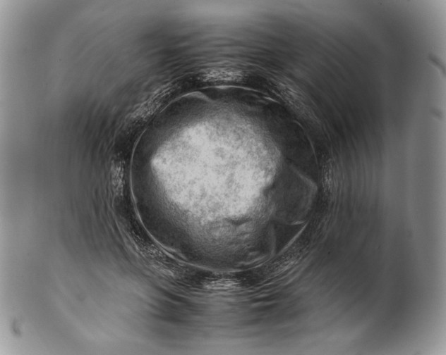 X0000101960551200808011110