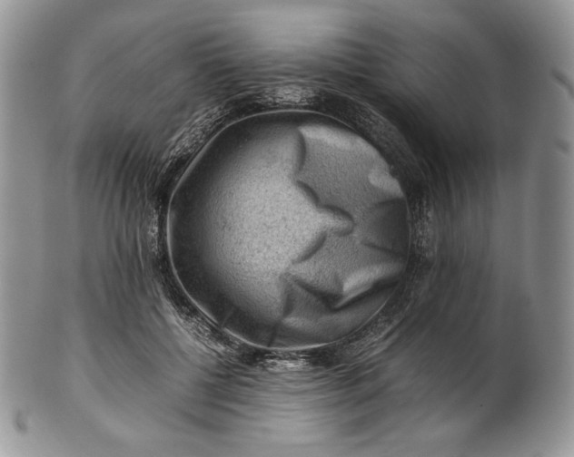 X0000101960552200808011110