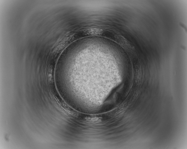 X0000101960553200808011110