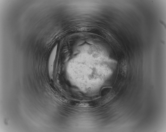 X0000101960554200808011110