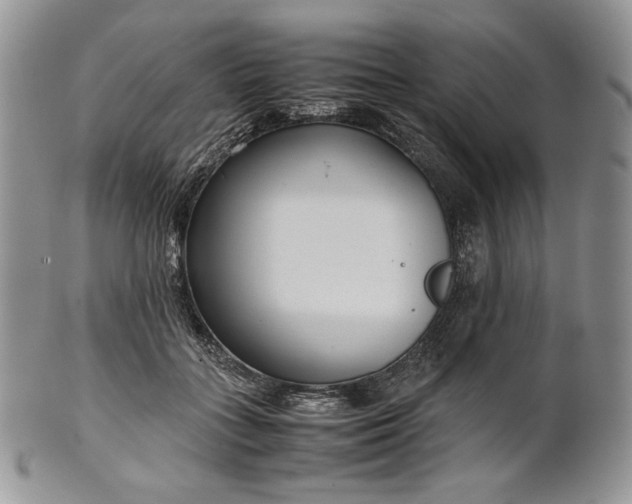 X0000101960555200808011110