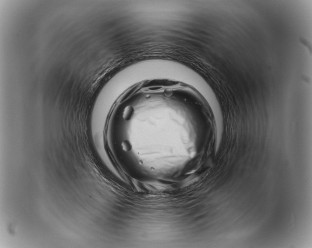 X0000101960556200808011110