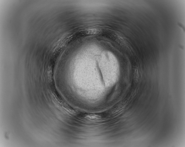 X0000101960557200808011110