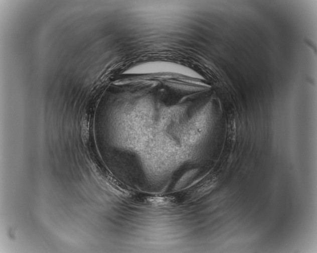 X0000101960558200808011110