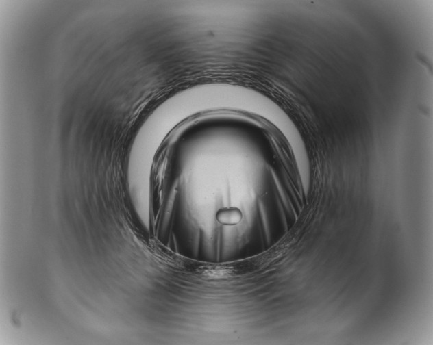 X0000101960560200808011110