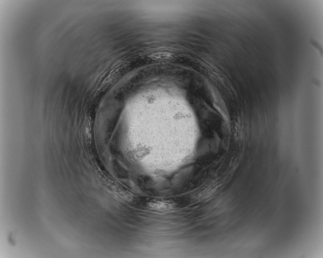 X0000101960561200808011110