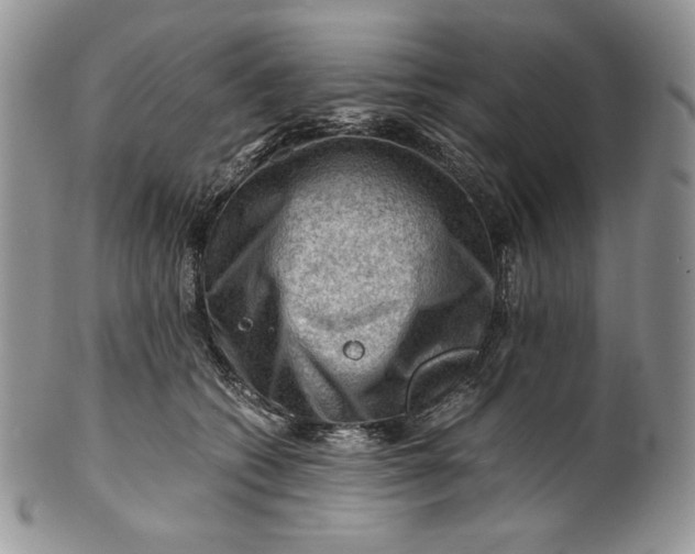 X0000101960562200808011110