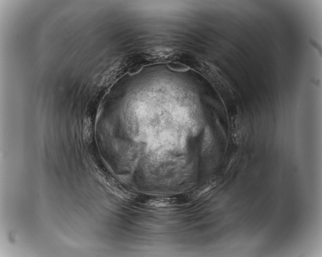 X0000101960563200808011110