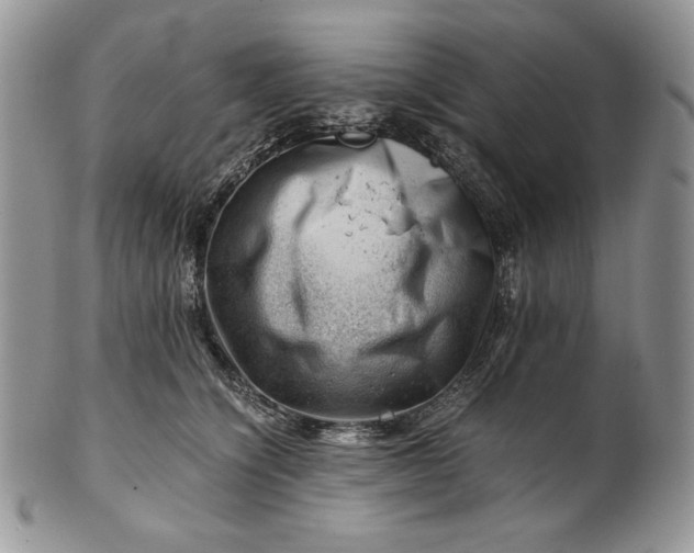 X0000101960564200808011110