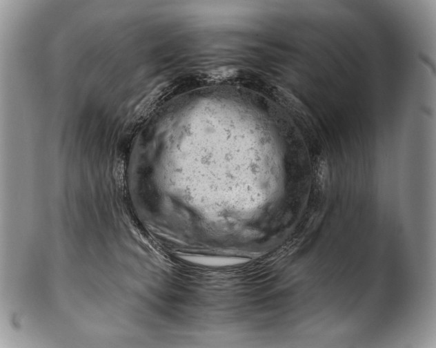 X0000101960565200808011110