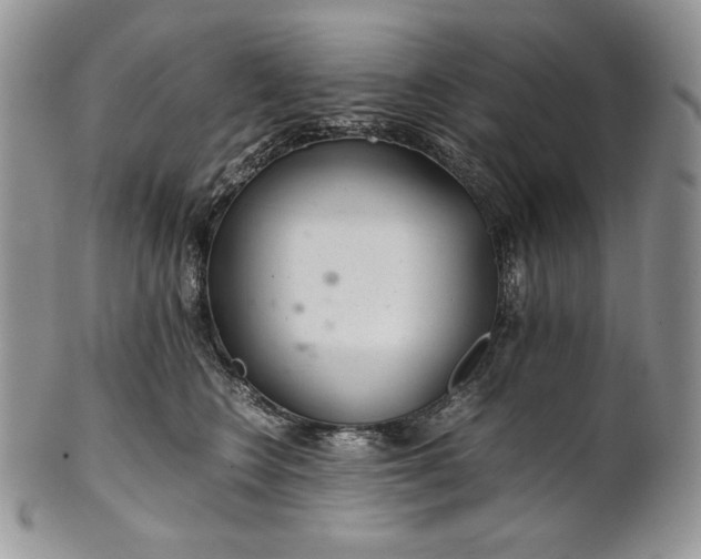 X0000101960566200808011110