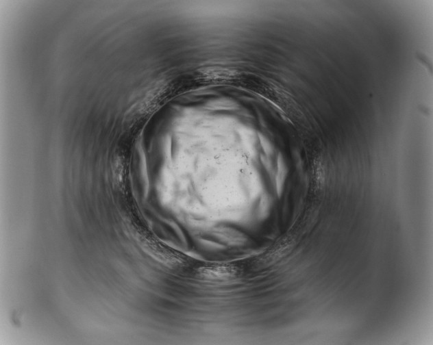 X0000101960567200808011110