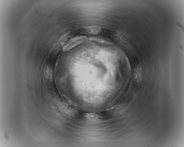 X0000101960568200808011110