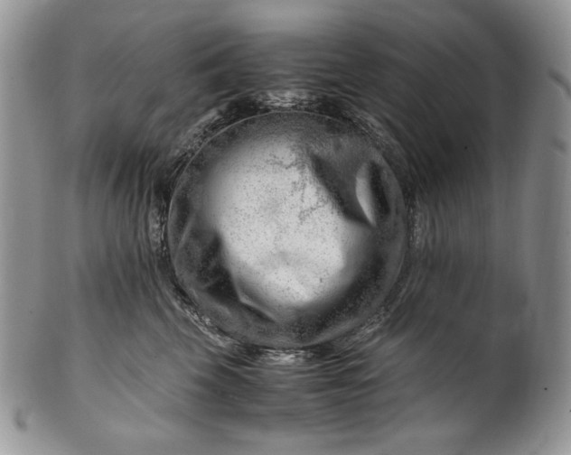 X0000101960569200808011110