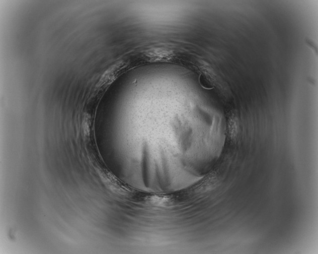 X0000101960570200808011110