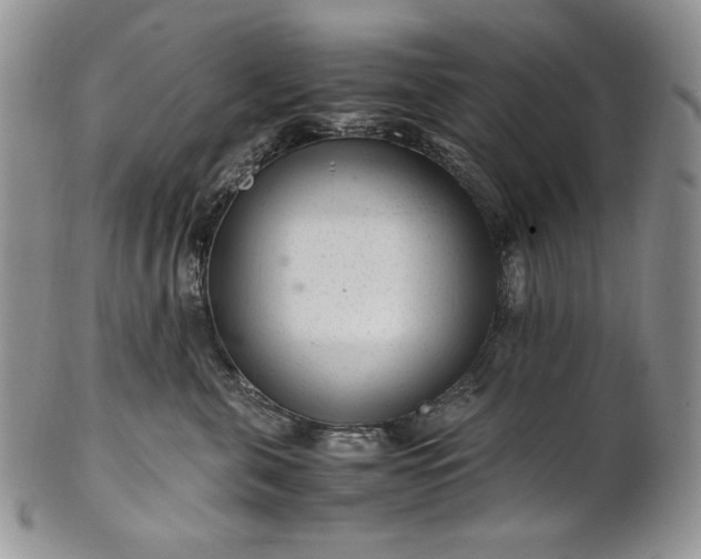 X0000101960571200808011110