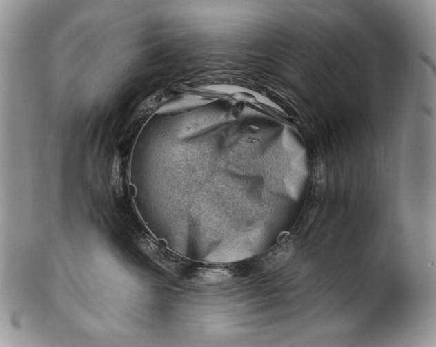 X0000101960572200808011110