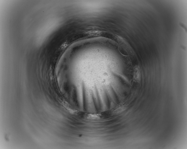 X0000101960573200808011110