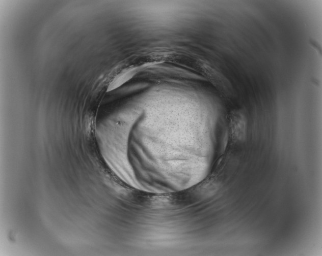 X0000101960574200808011110